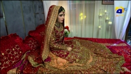 Baylagaam - Episode 53 - 27th November 2023